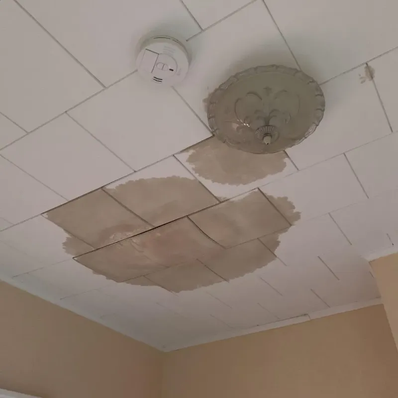 Ceiling Water Damage Repair in River Bend, NC