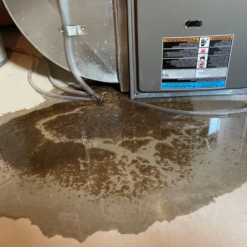 Pipe Burst and Leak Restoration in River Bend, NC
