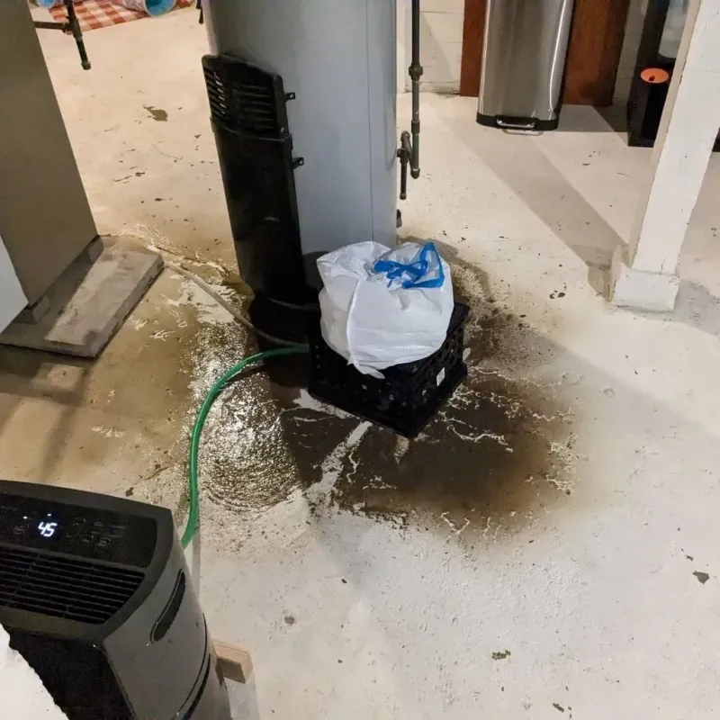 Sewage Backup Cleanup Service in River Bend, NC